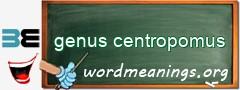 WordMeaning blackboard for genus centropomus